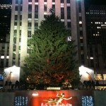 rockefeller tree